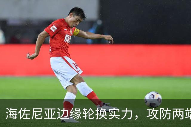 海佐尼亚边缘轮换实力，攻防两端短板明显，骑士还需寻找靠谱锋线